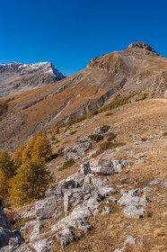 Auron
