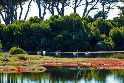 Lérins, Sainte-Marguerite
