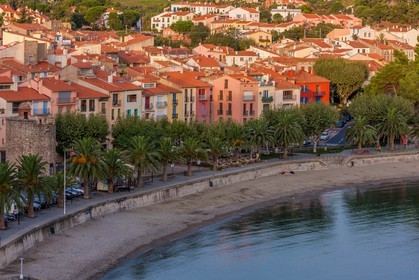 Collioure