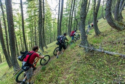 Rando Vtt Lacs de Lignin