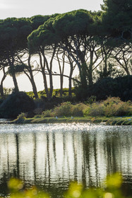 Lérins Sainte-Marguerite 2024