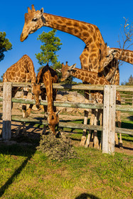 Parc animalier de la Barben