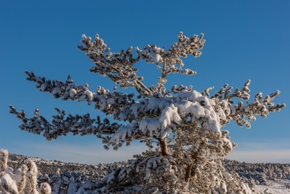 Gréolières-les-Neiges