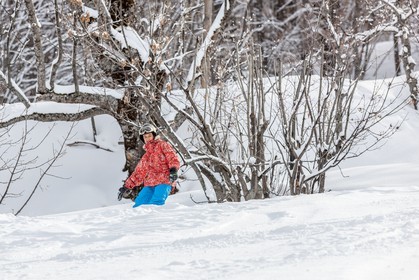 Snowboard