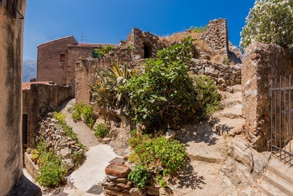 Belgodère