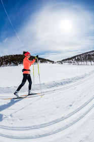 Ski-de-fond