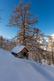 Auron