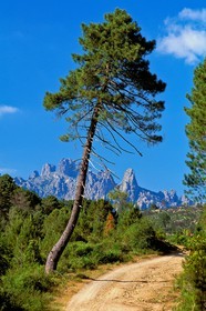 Bavella