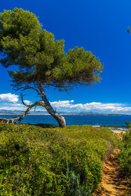 Lérins Sainte-Marguerite 2024