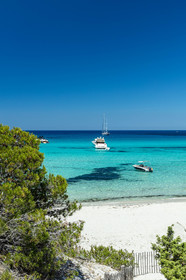 Saleccia