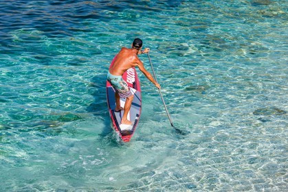 Paddle