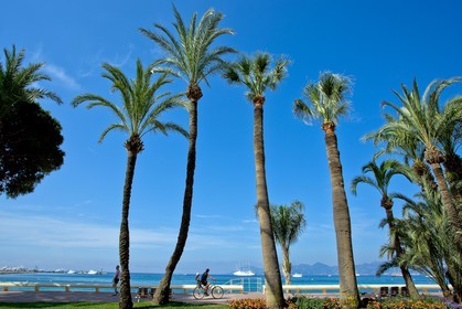 Cannes