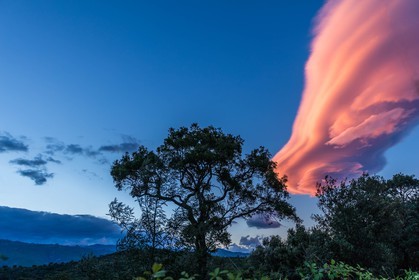 Lenticulaire