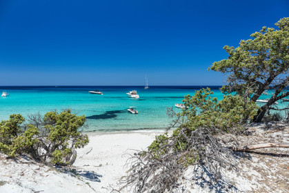 Saleccia