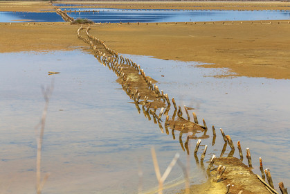 Salins d'Hyères