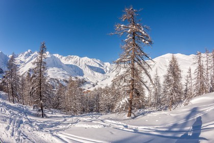 La Foux d'Allos