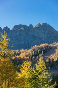 Isola 2000