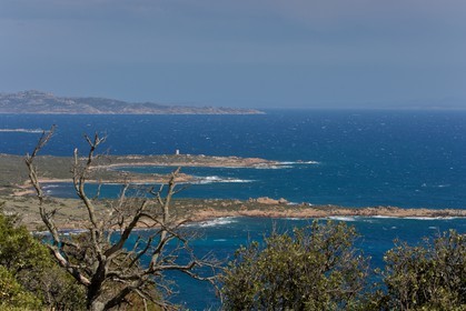 Tour d'Olmeto
