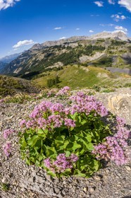 Col des Champs