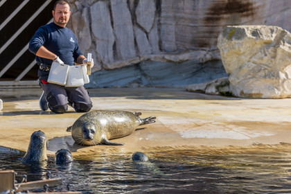 Seaquarium