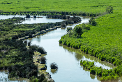 Camargue