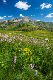 Col des Champs