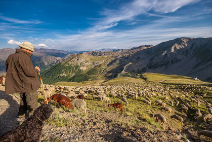 Col de la Bonette