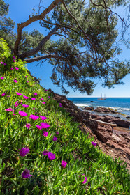 Plage de Fabrégas