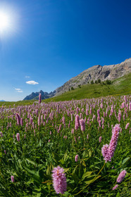 Col des Champs