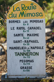 Tanneron