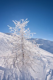 La Foux d'Allos