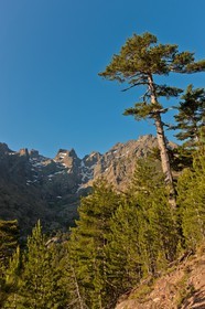 Monte Cinto