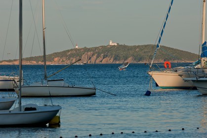 Pezza Cardo