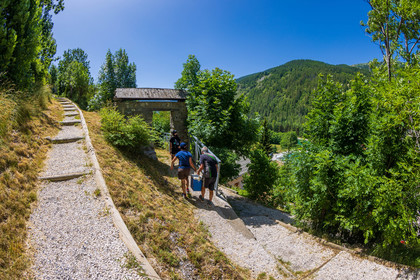 Allos