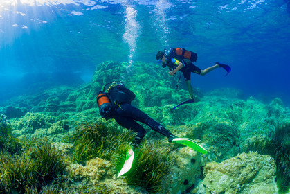 Plongée-sous-marine