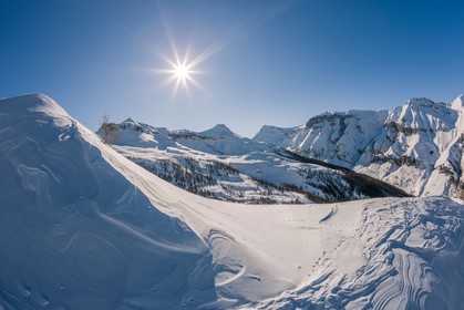 Auron