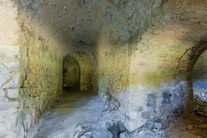 Vignoble corse