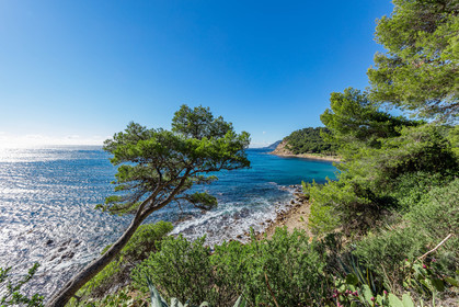 Saint-Mandrier-sur-Mer