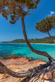 Palombaggia