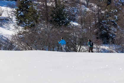 Ski de fond