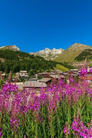 La Foux d'Allos