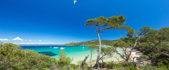 Porquerolles