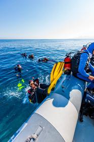 Plongée-sous-marine