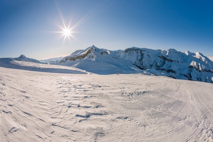 Auron