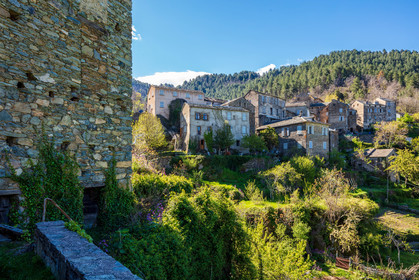 Saliceto