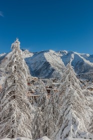 Auron