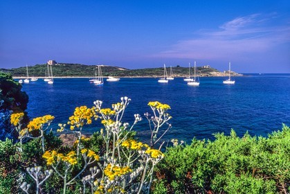 Porquerolles