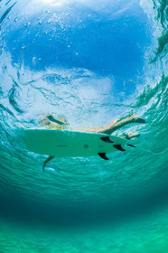 Surf