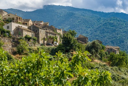 Bisinchi