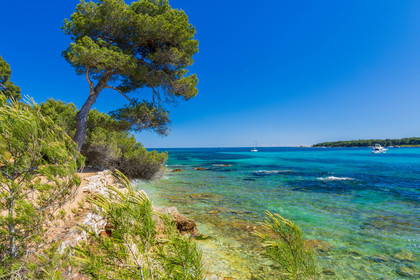 Lérins Sainte-Marguerite 2024